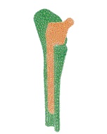 ABAQUS/ҽеӦ